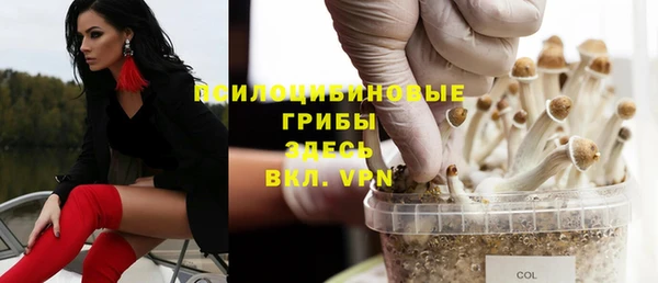 стафф Арсеньев