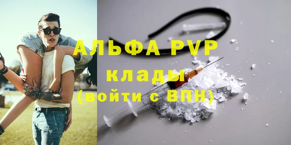 стафф Арсеньев