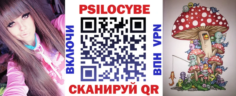 Галлюциногенные грибы Psilocybine cubensis  цены   Болхов 